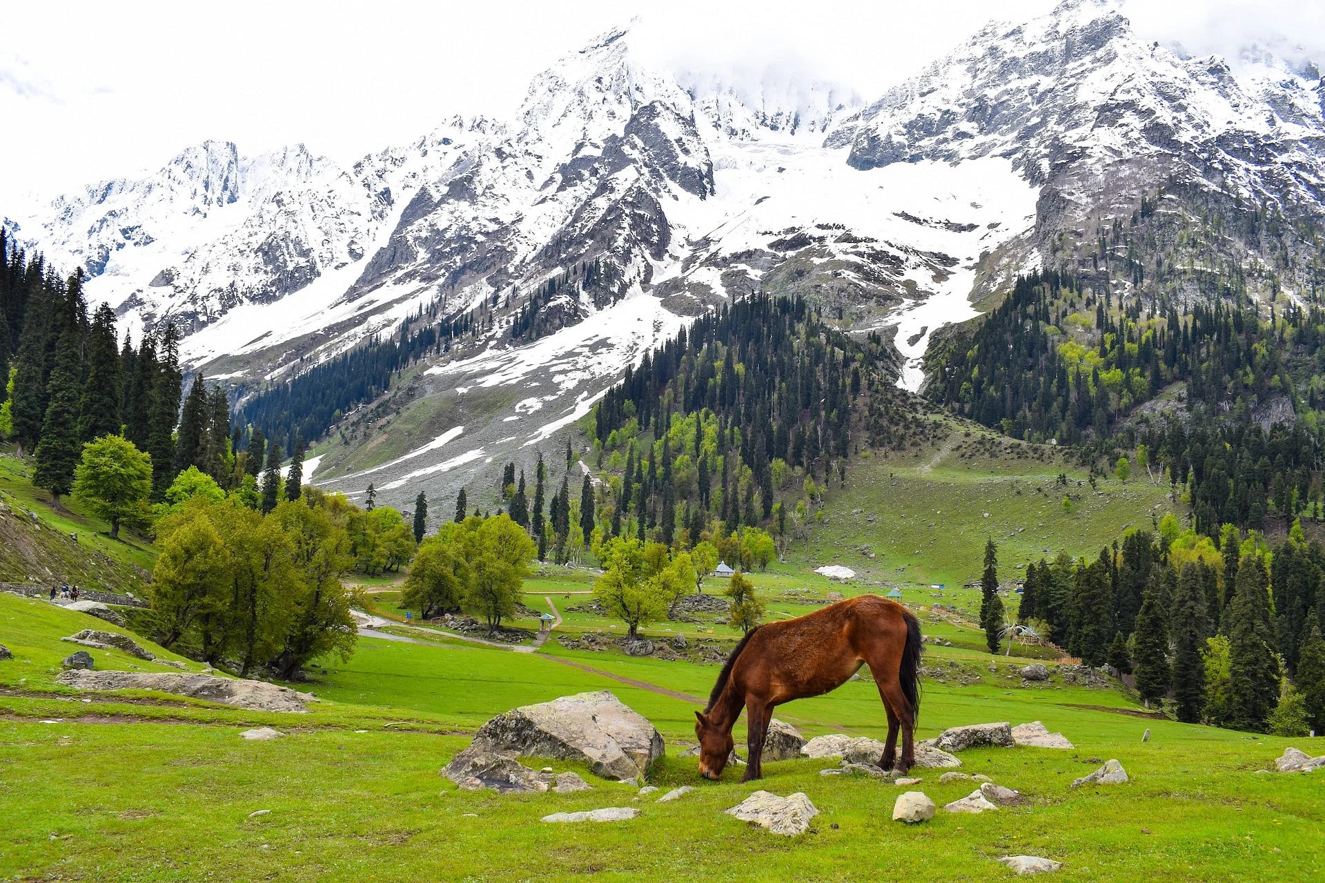 Best Places to Visit in Kashmir: Discover Paradise on Earth