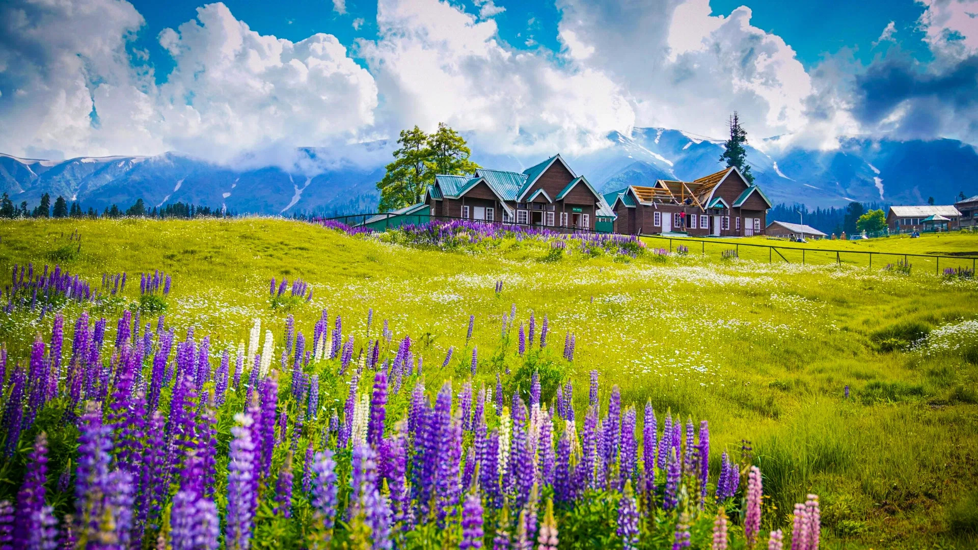 Kashmir Tour Package 6 Nights 7 Days From Delhi 2026 | Price, Itinerary, Couple & Family Deals
