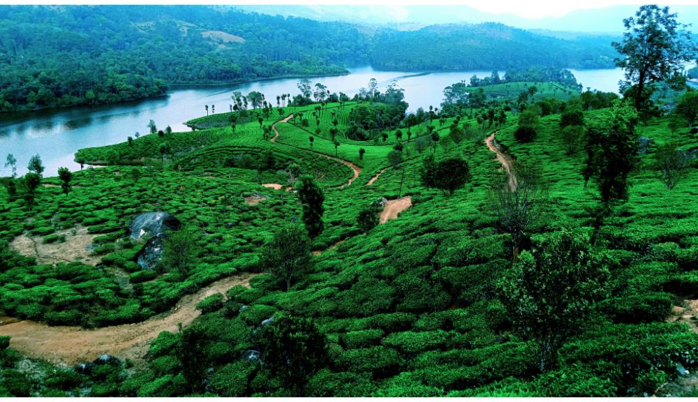5Days 4Night Alleppey Houseboat Munnar Tour Package Backwater Experience