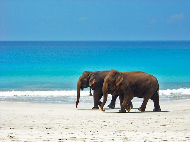 Andaman 5 Nights  6 Days Tour Package Beach & Island Holiday