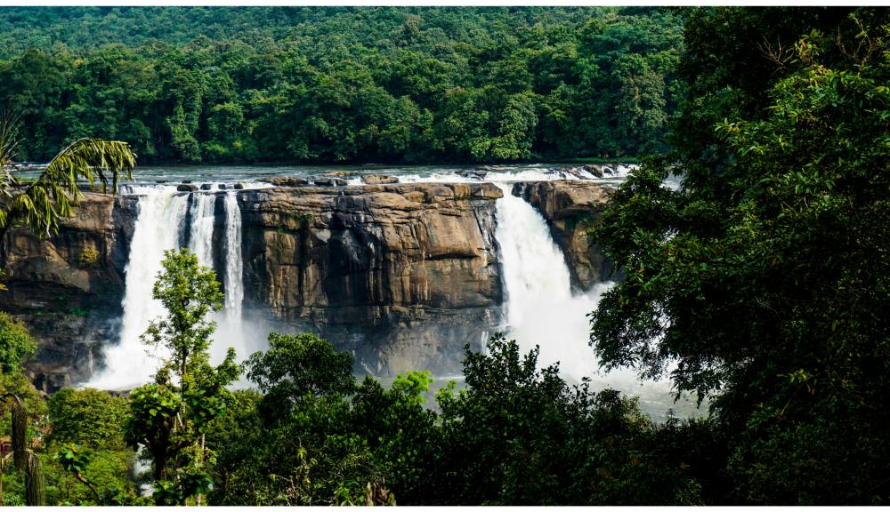 7 Night 8 Days Kerala Tour Package Complete Kerala Trip @Best Price